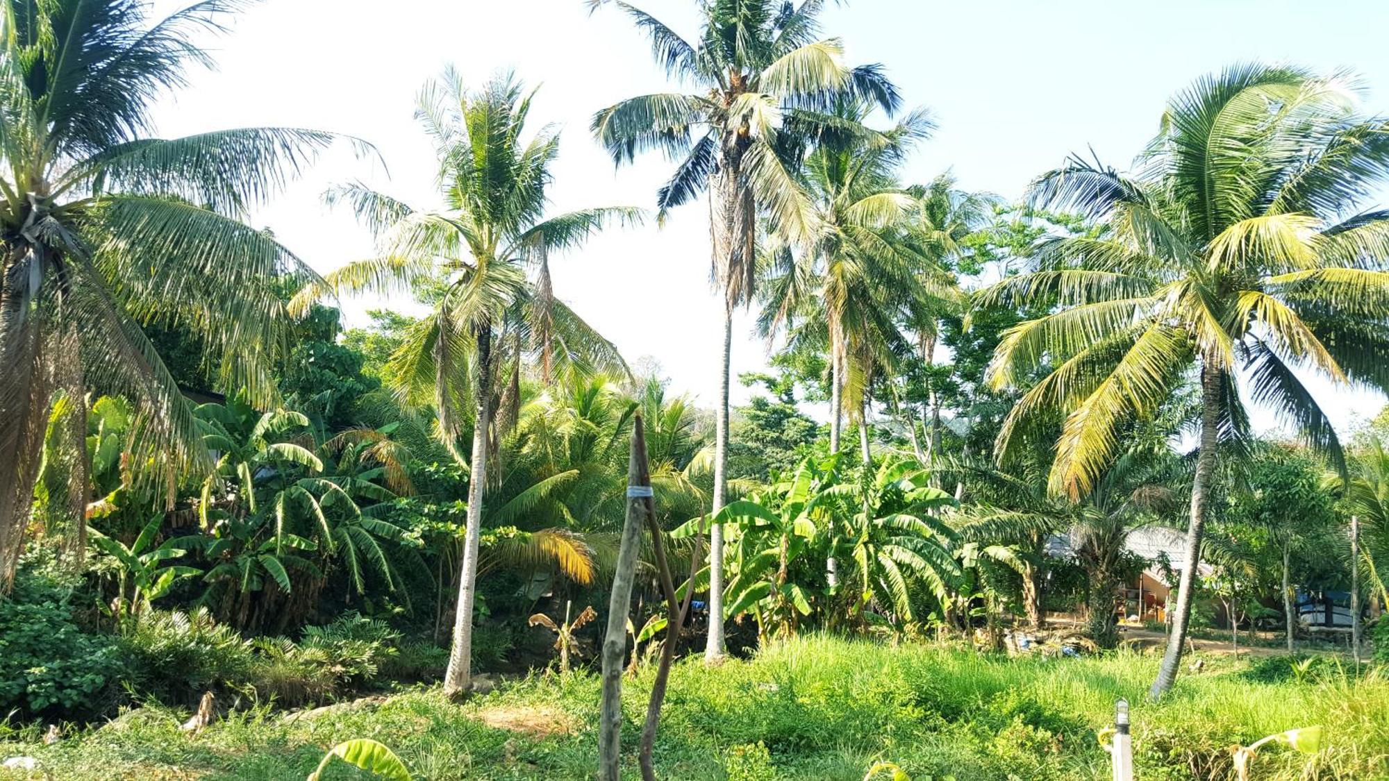 Home No.9 Koh Lanta Bagian luar foto